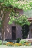 trasimeno_polvese027