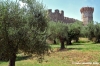 trasimeno_polvese036
