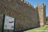 trasimeno_polvese037
