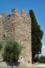 trasimeno_polvese038