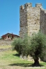 trasimeno_polvese042