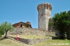 trasimeno_polvese047