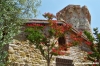 trasimeno_polvese052