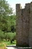 trasimeno_polvese064