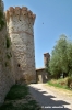 trasimeno_polvese065