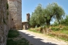 trasimeno_polvese067