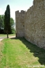 trasimeno_polvese068