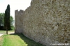 trasimeno_polvese069