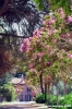 trasimeno_polvese075
