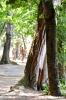 trasimeno_polvese089