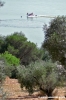 trasimeno_polvese092