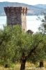 trasimeno_polvese100