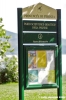 trasimeno_polvese112