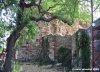 trasimeno_polvese_sansecondo06