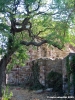 trasimeno_polvese_sansecondo07