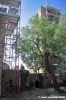trasimeno_polvese_sansecondo08