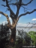 trasimeno_polvese_sansecondo12