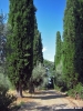trasimeno_polvese_sansecondo16