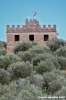 trasimeno_polvese_sansecondo31