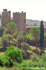 trasimeno_zocco21