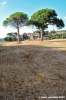 trasimeno_zocco26