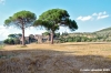 trasimeno_zocco27