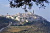 trevi860827a69