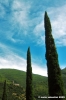 umbriano10