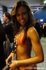 bit2006_32