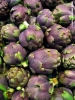 carciofi2