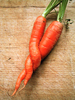 carota_doppia2