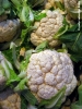cavolfiore1