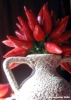 peperoncino03