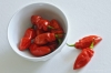 peperoncino038
