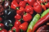 peperoncino09