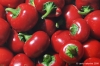 peperoncino11
