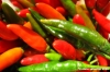 peperoncino2