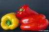 peperoni573_37