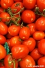 pomodori