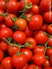 pomodori1