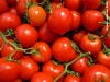 pomodori2