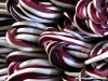 radicchio_trevigiano