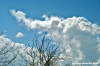 nuvola_elefante1
