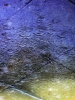 pioggia1