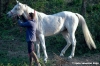 pelago_lapieve_scuderie012