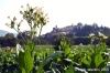 monterchi27