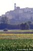 monterchi49