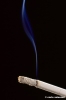 sigaretta577_11