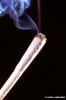 spinello583_08