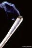 spinello583_09